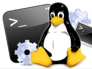 تحميل كتاب تعليم أوامر لينكس Linux مترجما للعربية برابط مباشر