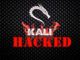 تحميل كتاب دليلك الى نظام كالي لينكس Kali Linux مجانا pdf